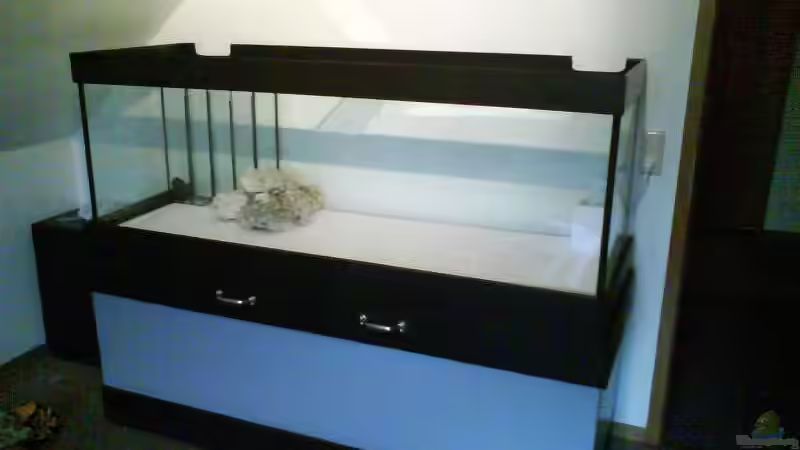 Becken mit 4 Personen hoch getragen von Gernold Lengert (9)