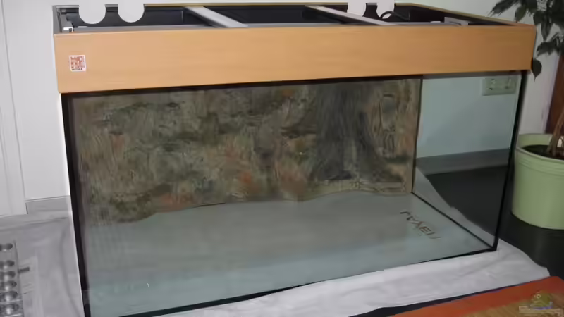 Becken mit Abdeckung im Urzustand von Lars (2)