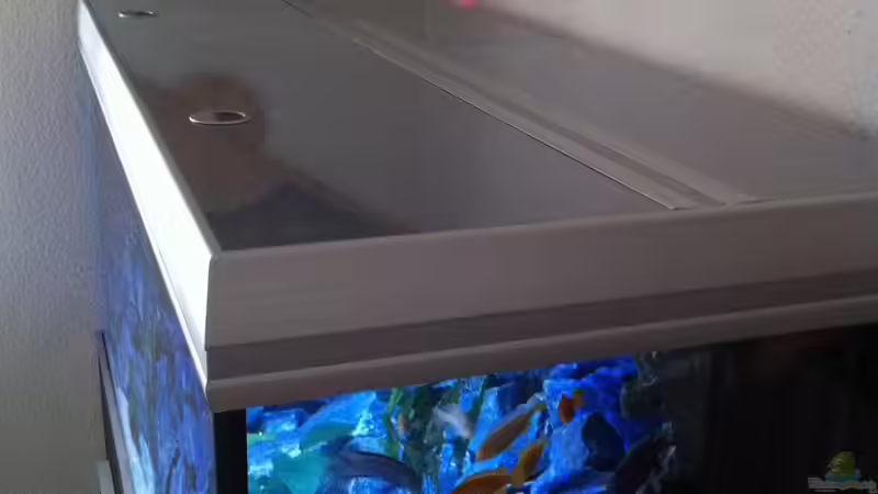 Becken mit Abdeckung von ´Diamantaquarien.de´ von Jean-Paul Ambord (2)