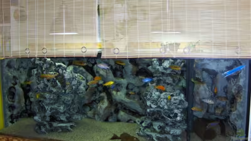 Becken mit all seinen Bewohnern von Ronny Kretschner (4)