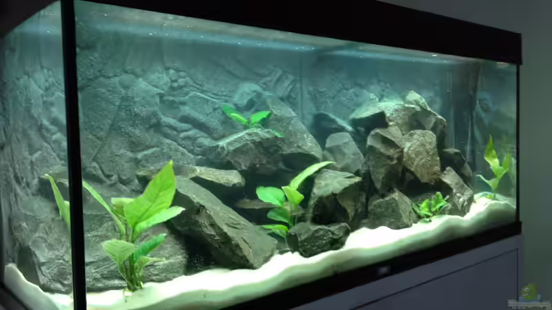 Becken mit alter Beleuchtung von Benjamin Schmider (8)