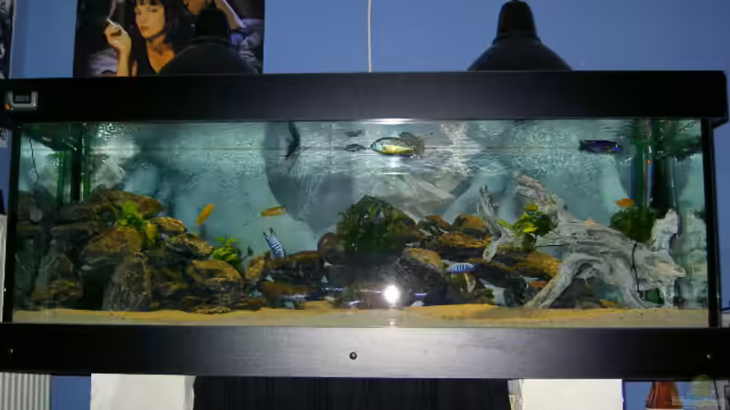 Becken mit Blitz fotografiert von Florian Ober (6)