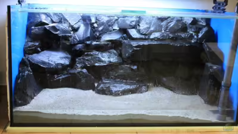 Becken mit Boden von Andy h (2)