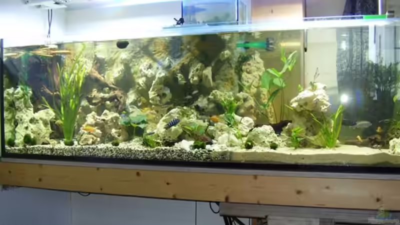 Becken mit Brenner Beleuchtung :) von Peters Laden (3)