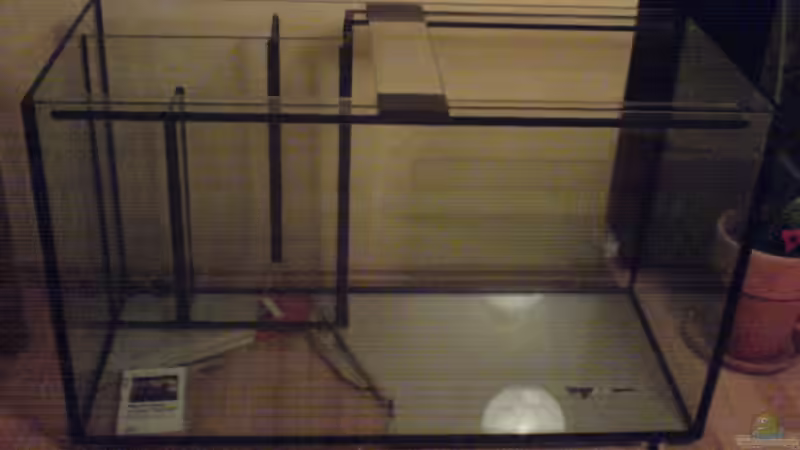 Becken mit dem 3-Kammerfilter von Oliver Rädel (2)