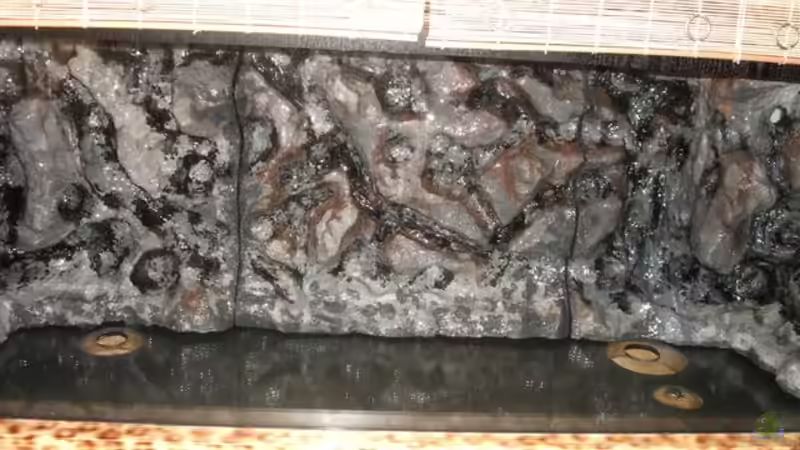 Becken mit eingesetzter Rückwand von Ronny Kretschner (3)