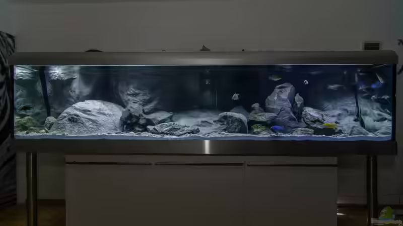 Becken mit Erstbesatz von ClioB (11)