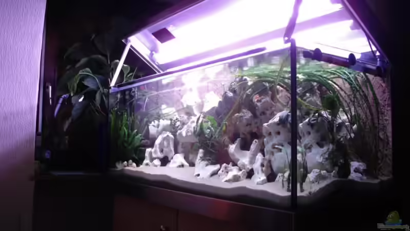 Becken mit geöffneter Abdeckung von Carsten Ries (2)