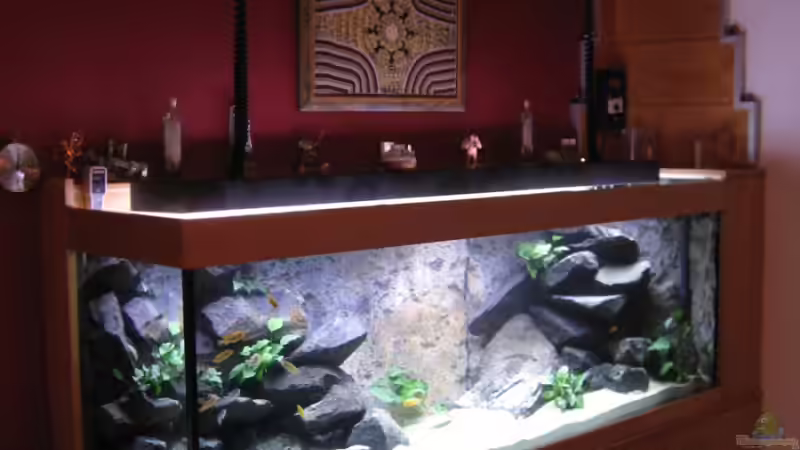 Becken mit Gesamt-Holzverbau von Klaus Traxler (5)