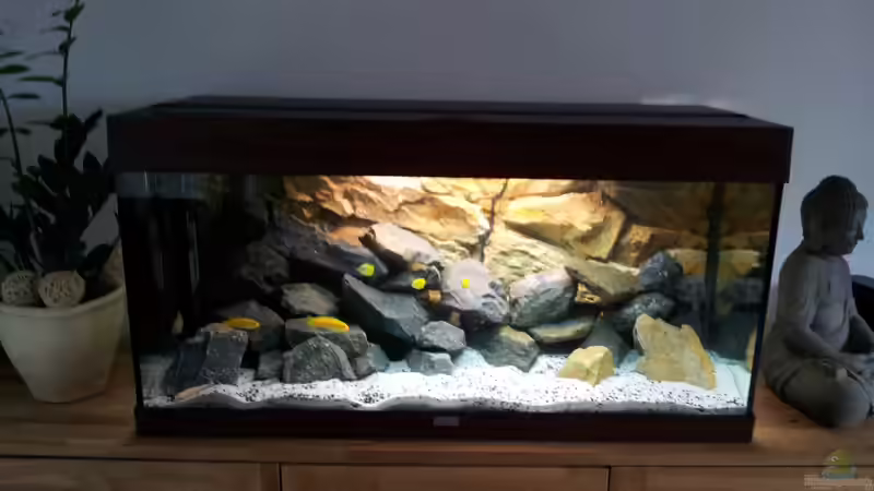 Becken mit JBL Natur - und Vollspektrumlampe (neu) von Martin N. (9)