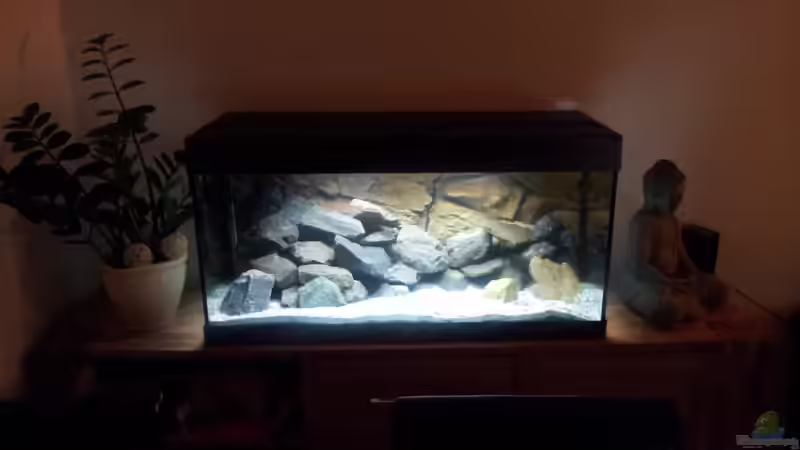 Becken mit LED Beleuchtung (alt) von Martin N. (8)