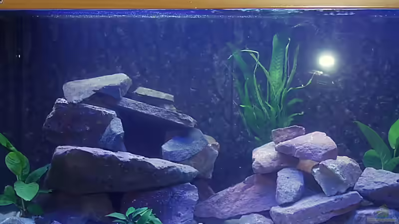 Becken mit mehr Steinaufbauten von Uwe Zawadski (3)