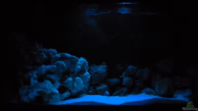 Becken mit Mondlicht von African Lake (5)