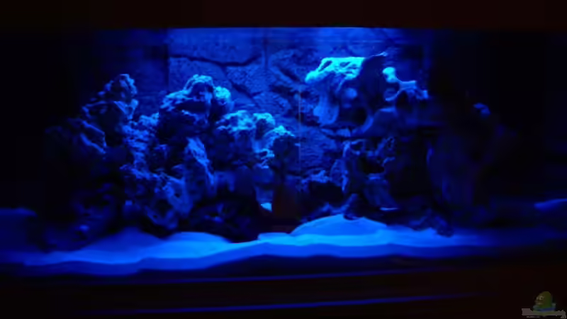 Becken mit Mondlicht von Jürgen Langer (4)