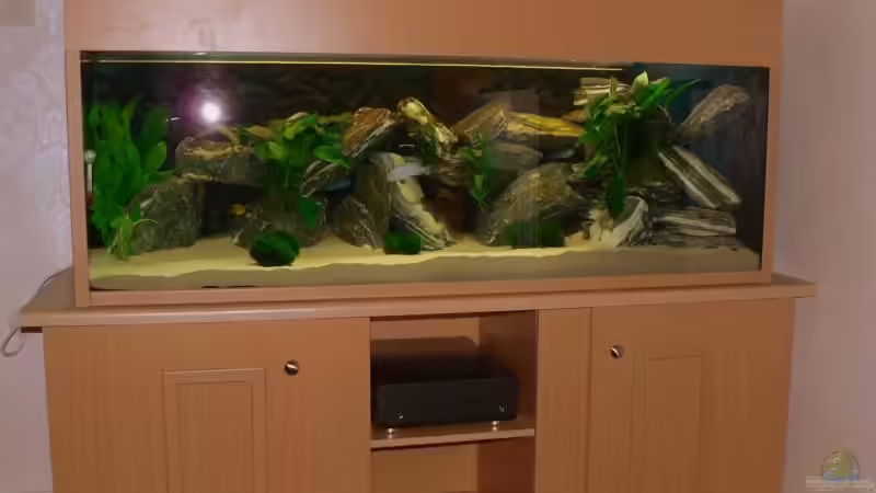 Becken mit neuer Abdeckung von Peter Giesbrecht (6)