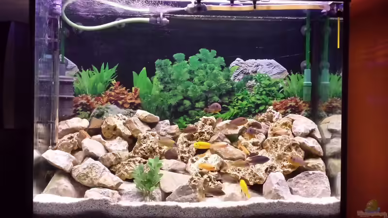 Becken mit neuer Rückwand von Thomas Riemenschneider (3)