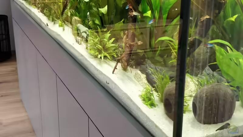 Becken mit neuer Verkleidung  von Woidma (60)