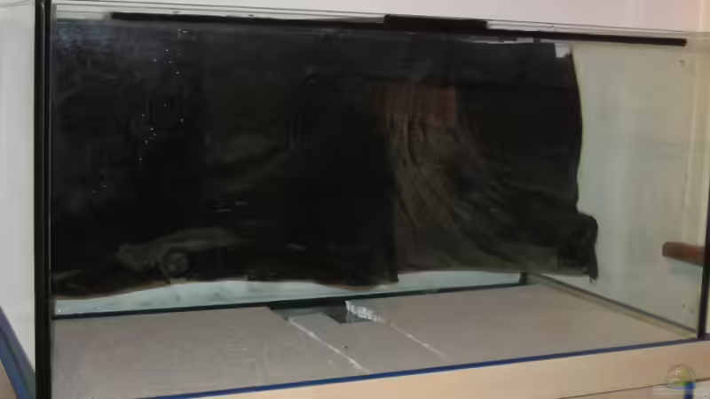 Becken mit Rückwand und styropor als Bodenschutz von Sky1706 (2)