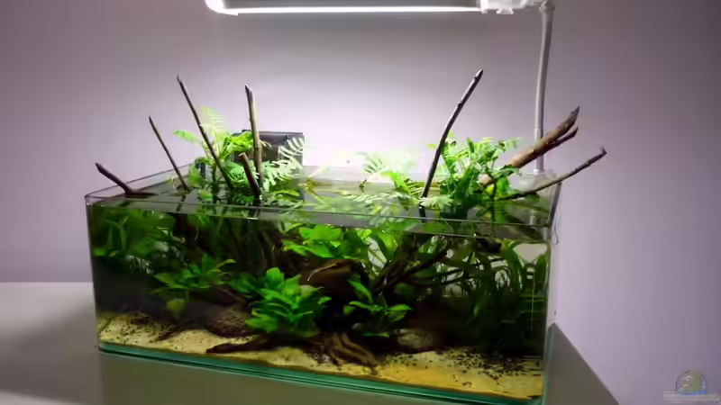 Becken mit samt Beleuchtung von Chris_R. (9)