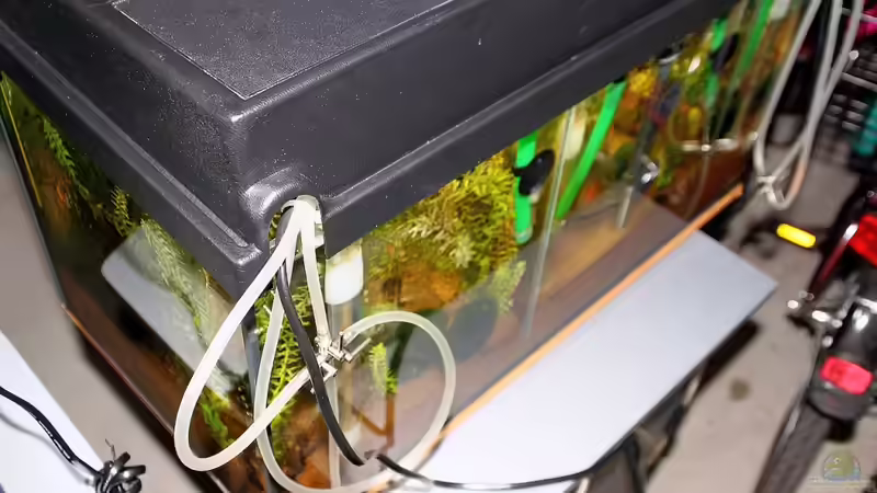 Becken mit Schläuchen und Lufthähnen (3-Wege) von hinten von Micha (14)