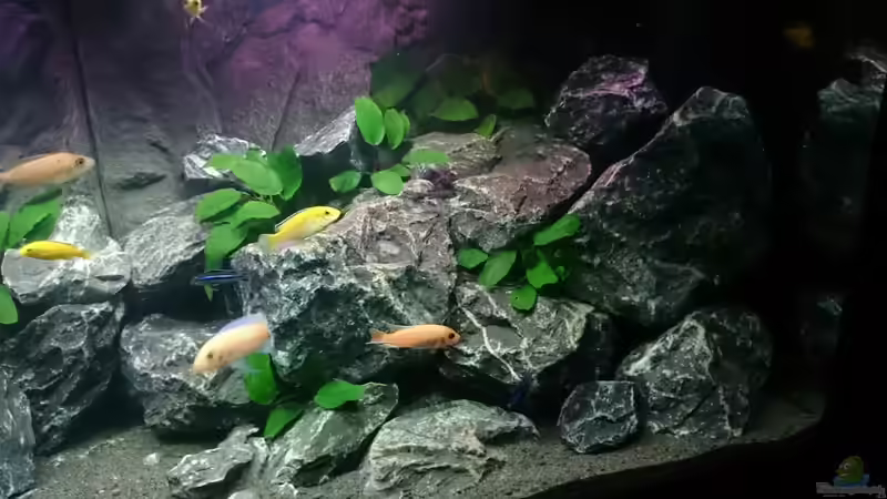 Becken mit Steinaufbauten rechts von Philipp Wenzel (3)