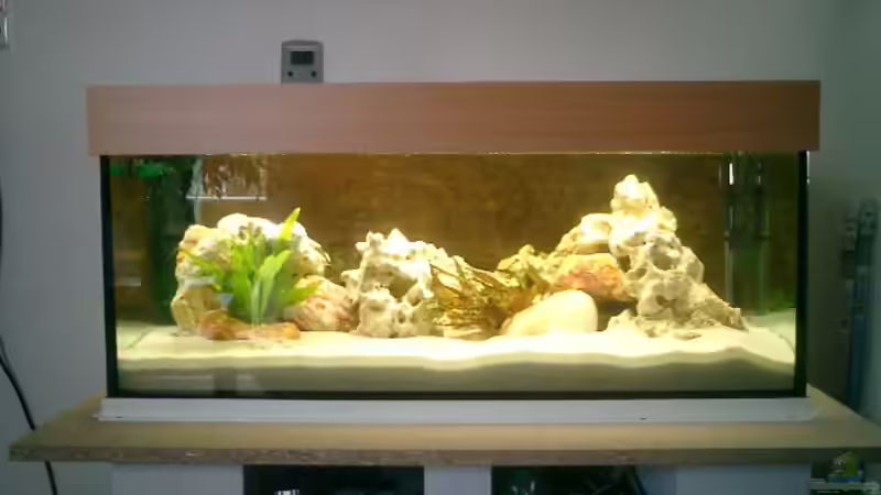 Becken mit Unterbau von vizekoenich (1)