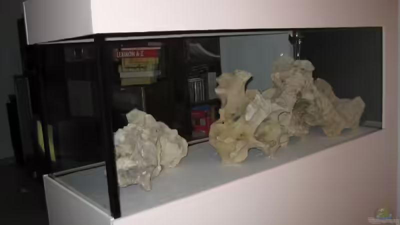 Becken mit Unterschrank, Styropor und Lochgestein von Meike_R (2)