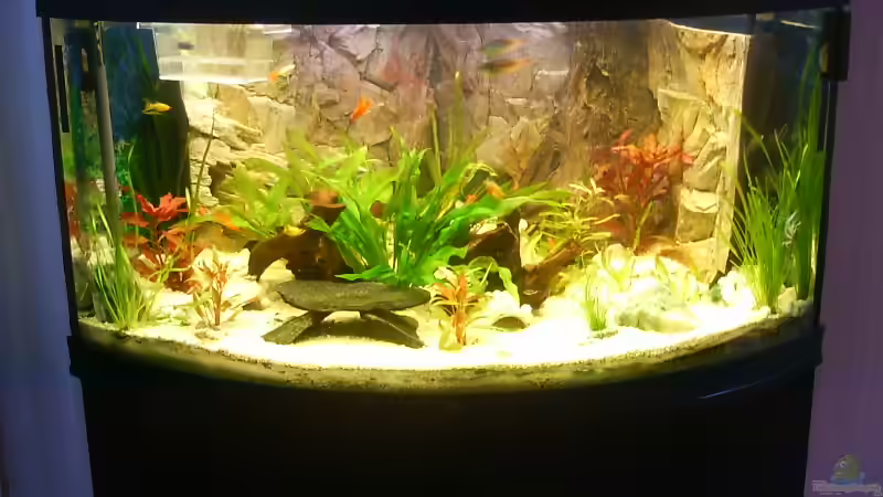 Becken mit Unterschrank von Dieter Schönherr (4)