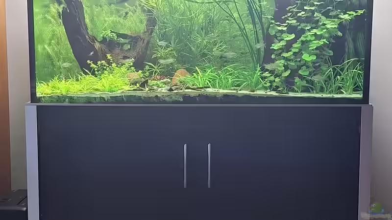 Becken mit Unterschrank von Piscis (2)