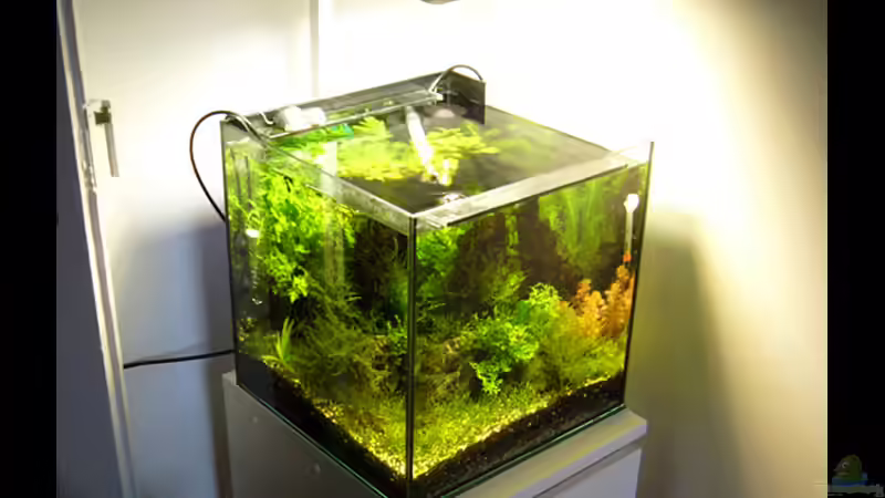 Becken mit Unterschrank von Stefan Philippi (3)