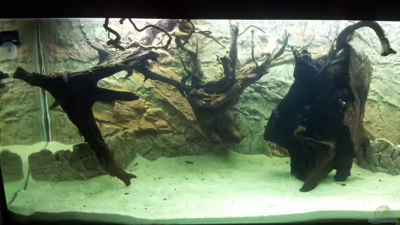 Becken mit Wasser aufgefült von Hans Lonzeck (11)