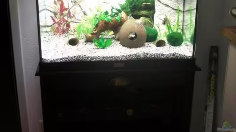 Becken mit Weinregal als Unterschrank von Florian Glaser (2)