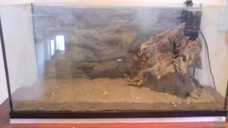 Becken mit Wurzel und Deponit(Neueinrichtung) von B1gT4nk (2)