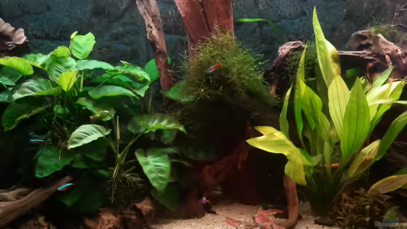 Becken Mitte  07/12 von Don Jupp (18)