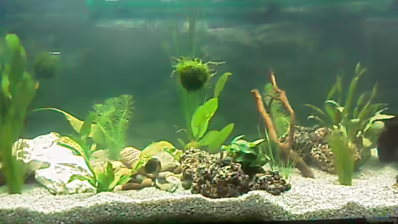 Becken Mitte 16.3.09 von Carmen Bernhardt (9)