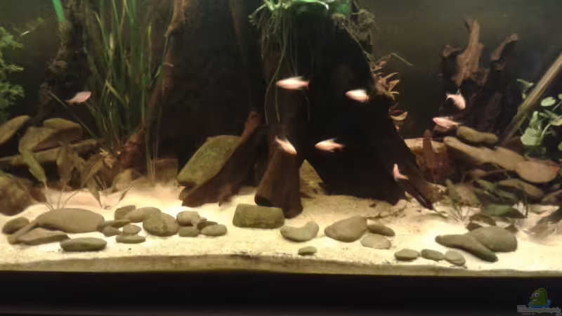 Becken mitte von Kai Heermann (19)