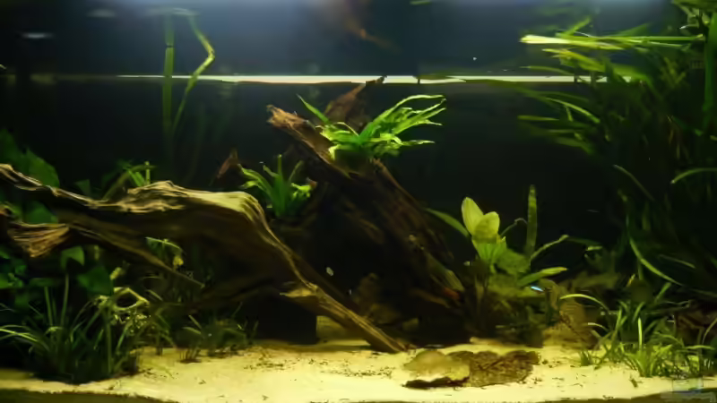 Becken Mitte von lumpi (7)