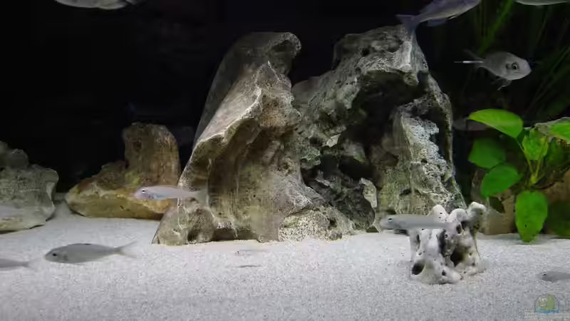 Becken mitte von Rainer Faßbender (4)