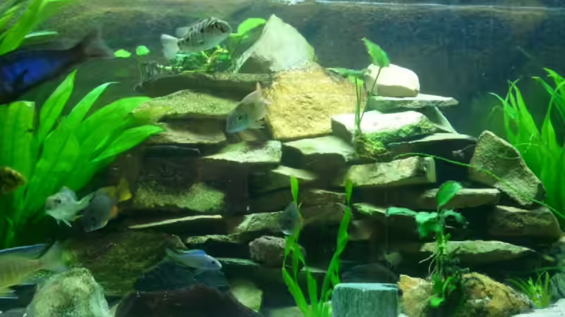 Becken Mitte von relkov (2)