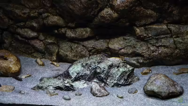 Becken mittig 02.11.2014 von DER YBBSTALER (27)