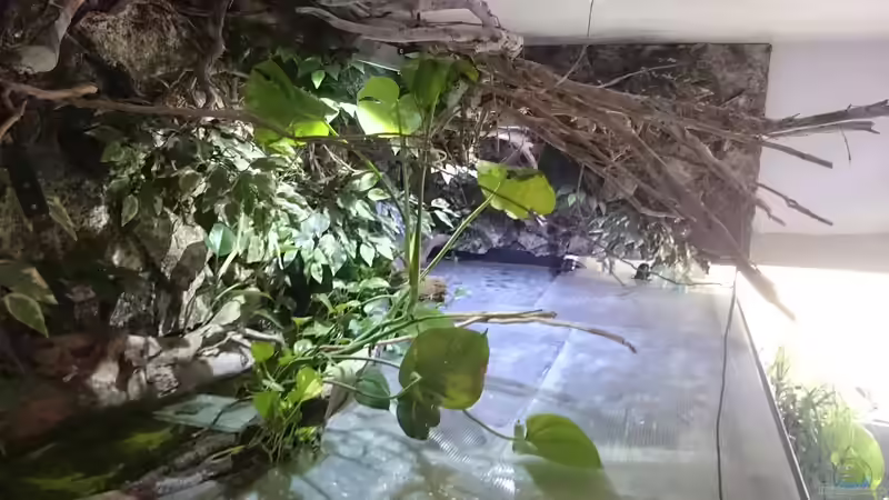 Becken musste , wegen Verdunstung, abdegeckt werden von Christoph Ottacher (7)