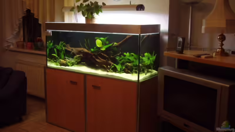 Becken nach 2 Wochen von Ronny Derndorfer (3)