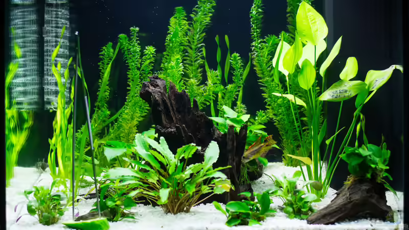 Becken nach 4 Tagen von Feinripp (4)