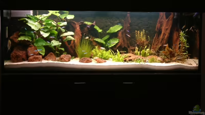 Becken nach dem 21.07.07 von Oliver Schürmann (3)