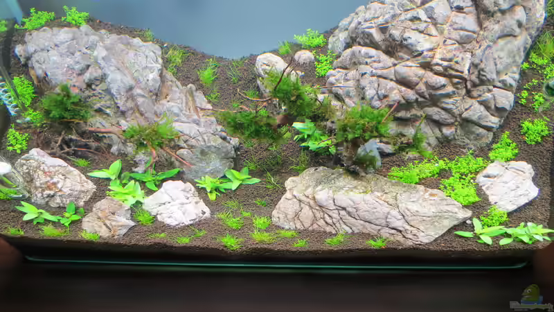 Becken nach dem befüllen von BastiB (13)