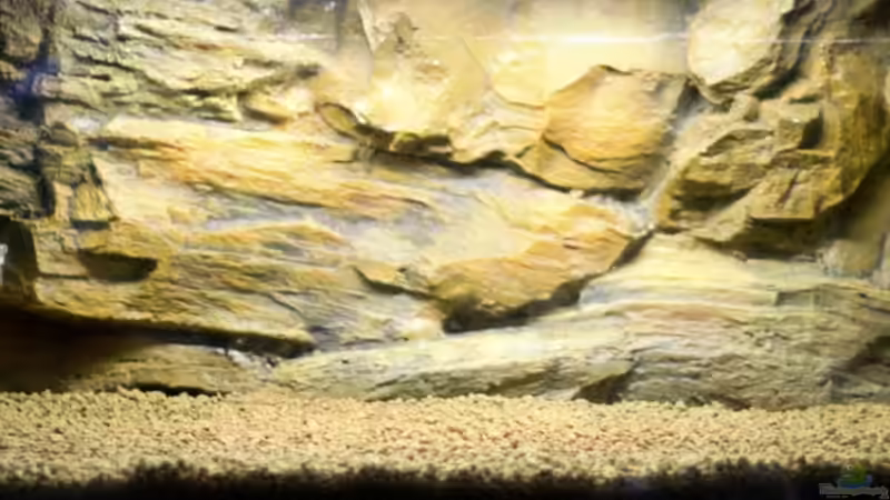 Becken nach dem einbau der Technik von Hardflip (2)