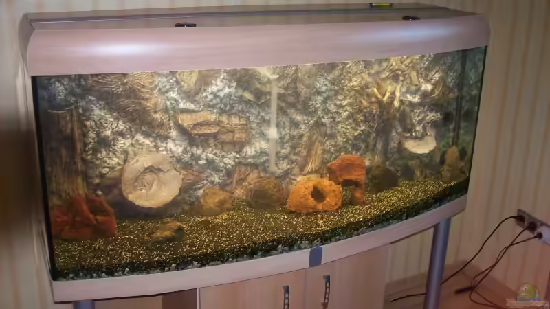 Becken nach der 1. Füllung von Tobias Höning (2)