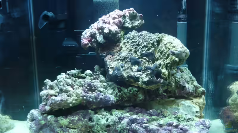 Becken nach der Einrichtung