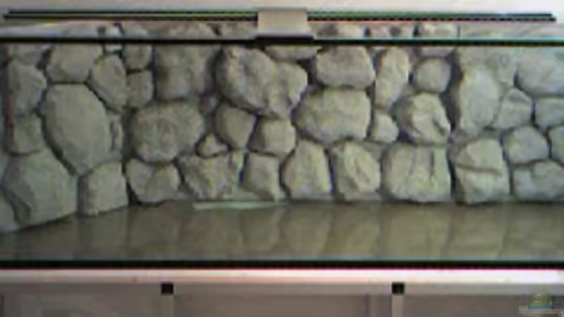 Becken nach einkleben der Rückwand von Christian Jung (2)