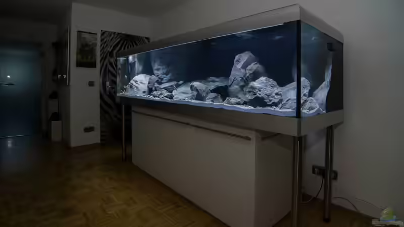 Becken nach Erstbefüllung, erstes Groblayout mit Modulen und einem Teil des Basalts von ClioB (10)